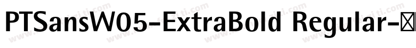 PTSansW05-ExtraBold Regular字体转换